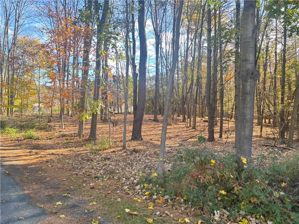 0 Lake Shore Drive South, Milford, New York 12116, Milford, New York 12116, 2 Bedroom Bedrooms, ,Land,For Sale,0 Lake Shore Drive South, Milford, New York 12116,0,R1725048