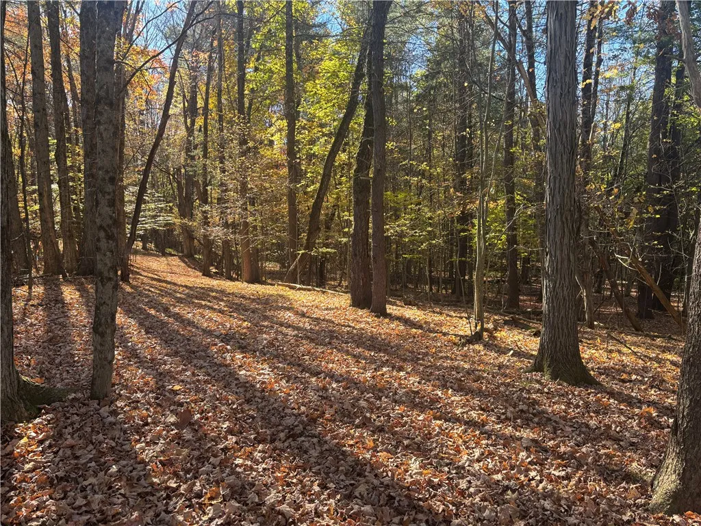 0 Lake Shore Drive South, Milford, New York 12116, Milford, New York 12116, 2 Bedroom Bedrooms, ,Land,For Sale,0 Lake Shore Drive South, Milford, New York 12116,0,R1725048