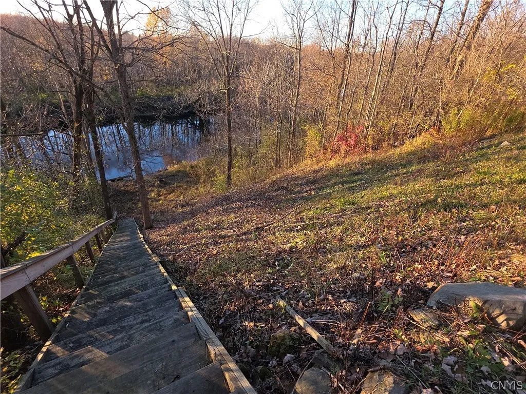 33337 Broadwell Road, Theresa, New York 13691, Theresa, New York 13691, 1 Room Rooms,Land,For Sale,33337 Broadwell Road, Theresa, New York 13691,0,S1725201
