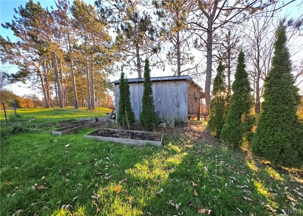 33337 Broadwell Road, Theresa, New York 13691, Theresa, New York 13691, 1 Room Rooms,Land,For Sale,33337 Broadwell Road, Theresa, New York 13691,0,S1725201