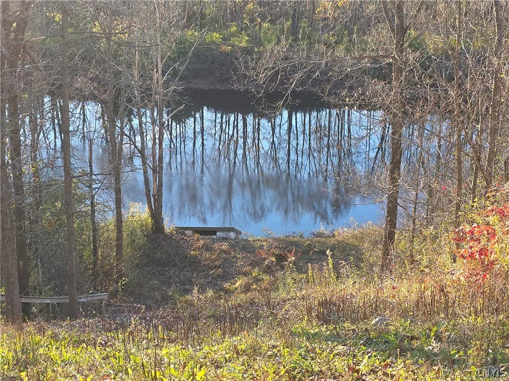 33337 Broadwell Road, Theresa, New York 13691, Theresa, New York 13691, 1 Room Rooms,Land,For Sale,33337 Broadwell Road, Theresa, New York 13691,0,S1725201