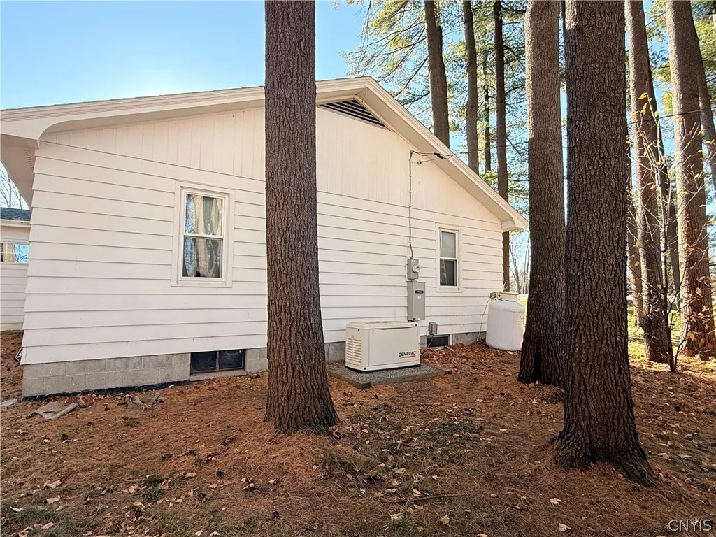 Whole house generator