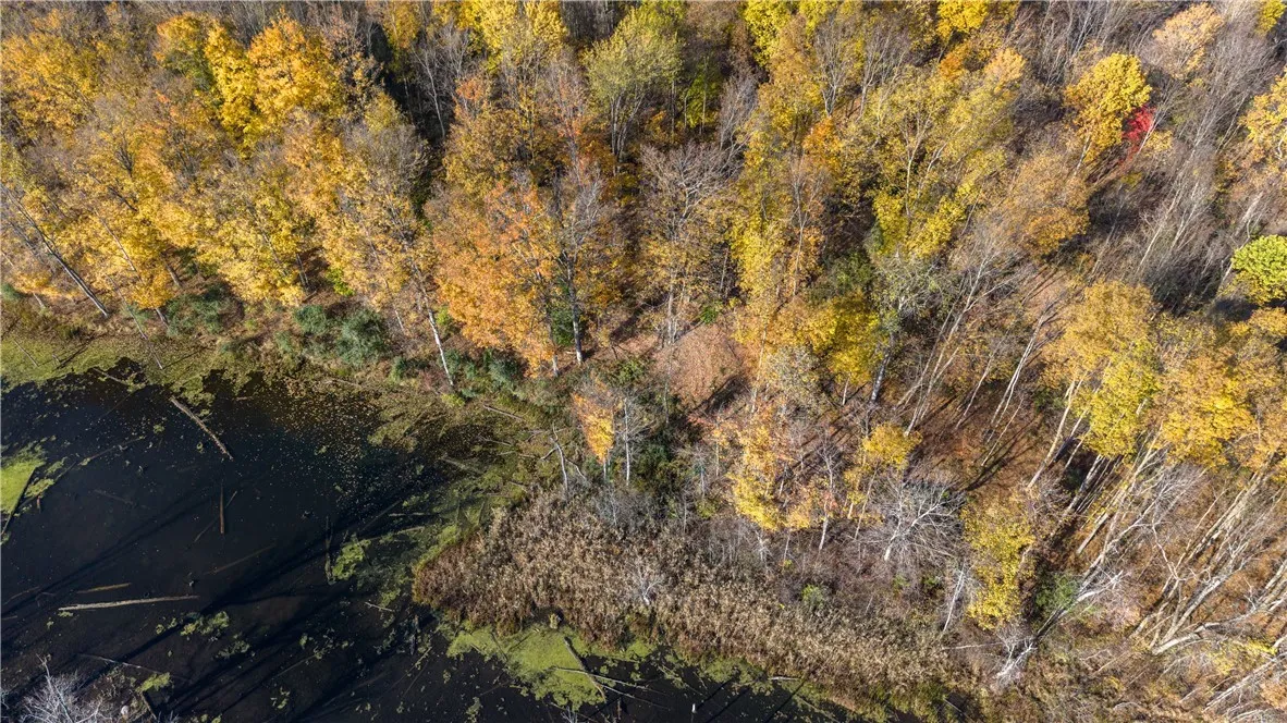 4244 Walworth Ontario Road, Walworth, New York 145, Walworth, New York 14568, ,Land,For Sale,4244 Walworth Ontario Road, Walworth, New York 145,0,R1725230