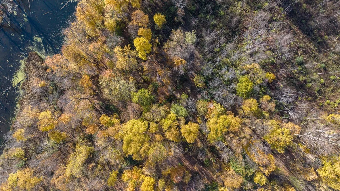 4244 Walworth Ontario Road, Walworth, New York 145, Walworth, New York 14568, ,Land,For Sale,4244 Walworth Ontario Road, Walworth, New York 145,0,R1725230