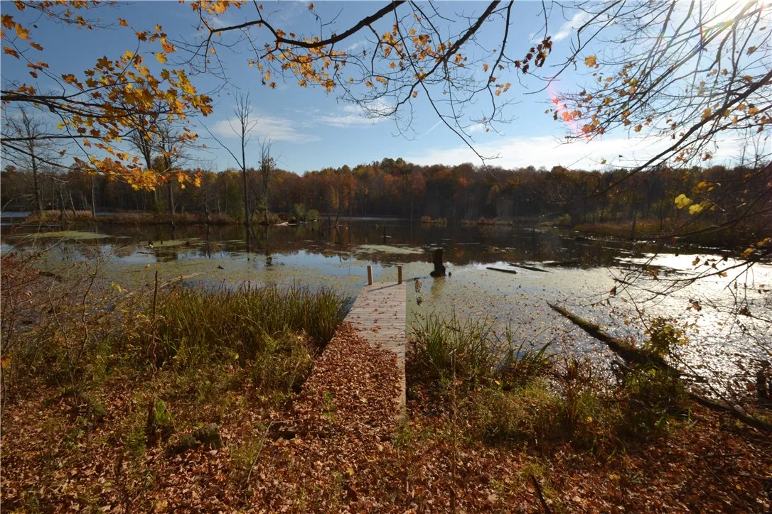 Dock to pond