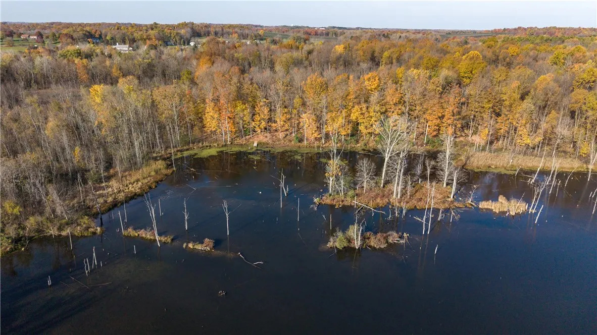 4244 Walworth Ontario Road, Walworth, New York 145, Walworth, New York 14568, ,Land,For Sale,4244 Walworth Ontario Road, Walworth, New York 145,0,R1725230