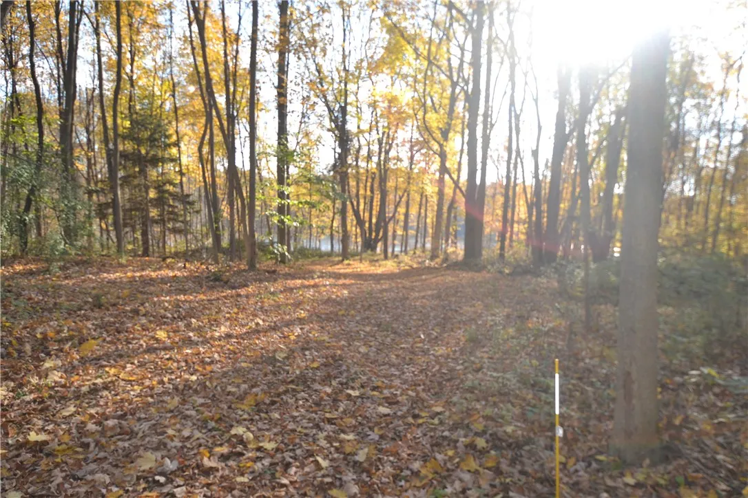 Rear towards pond