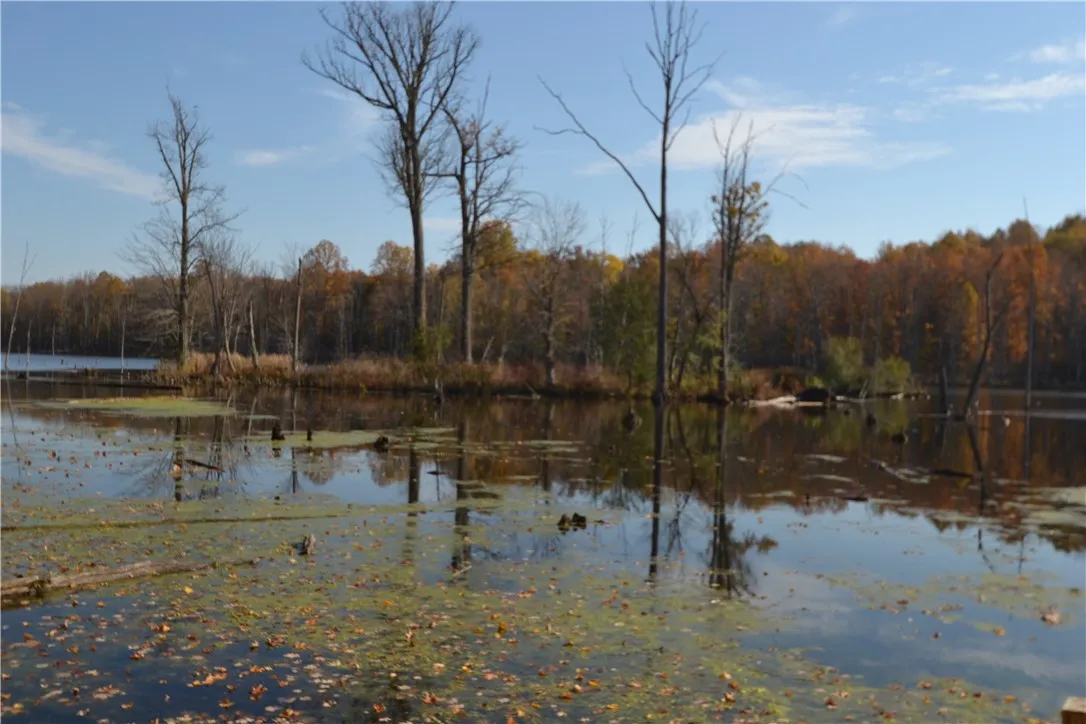 Approx. 4 acre pond with island