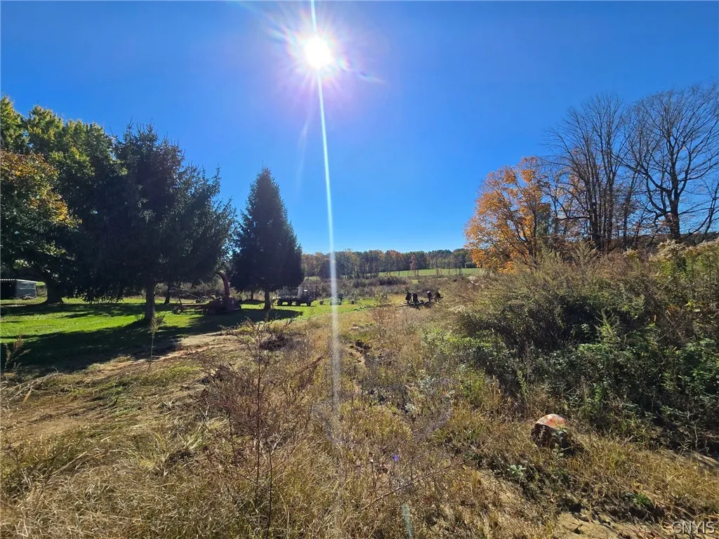 2444 Sand Hill Road, Mt Morris, New York 14510, Mt Morris, New York 14510, 3 Bedroom Bedrooms, 8 Room Rooms,1 BathroomBathrooms,Residential,For Sale,2444 Sand Hill Road, Mt Morris, New York 14510,0,S1725332