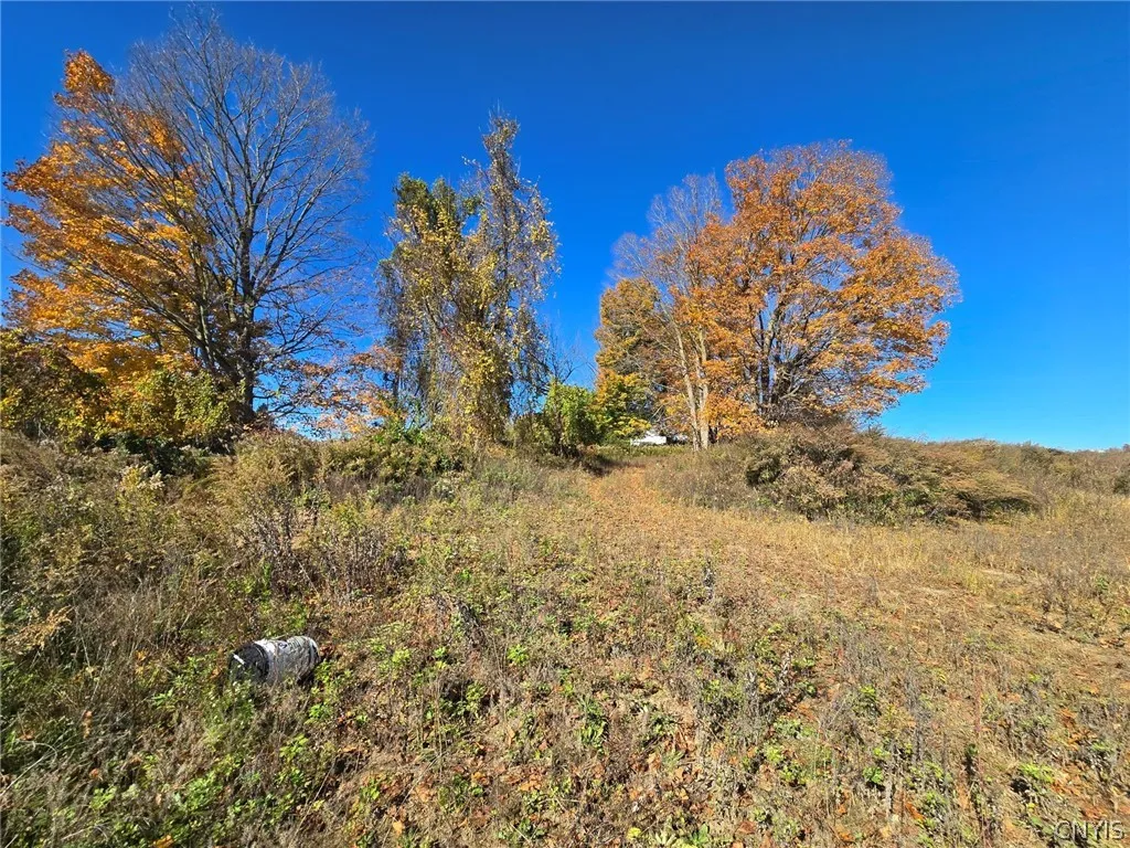 2444 Sand Hill Road, Mt Morris, New York 14510, Mt Morris, New York 14510, 3 Bedroom Bedrooms, 8 Room Rooms,1 BathroomBathrooms,Residential,For Sale,2444 Sand Hill Road, Mt Morris, New York 14510,0,S1725332