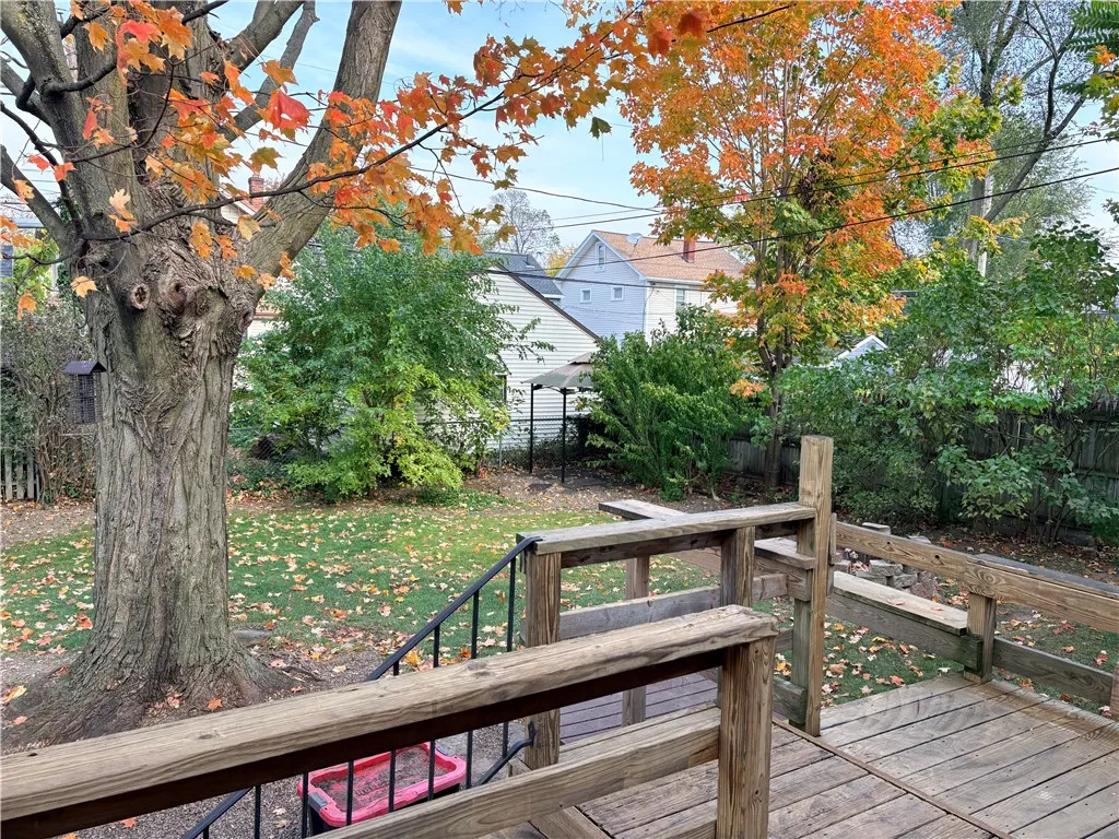 Back yard