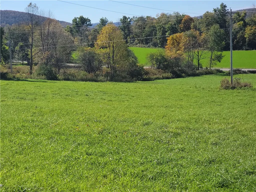 2628 County Hwy 18, Pittsfield, New York 13843, Pittsfield, New York 13843, ,Land,For Sale,2628 County Hwy 18, Pittsfield, New York 13843,0,R1720425