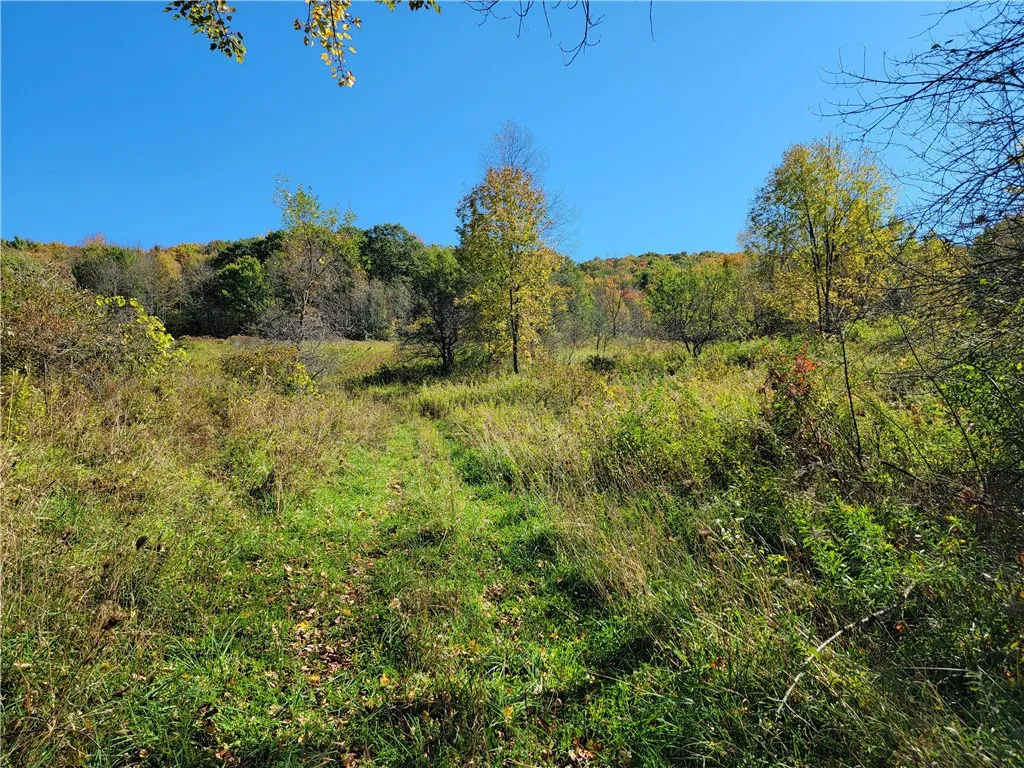 2628 County Hwy 18, Pittsfield, New York 13843, Pittsfield, New York 13843, ,Land,For Sale,2628 County Hwy 18, Pittsfield, New York 13843,0,R1720425
