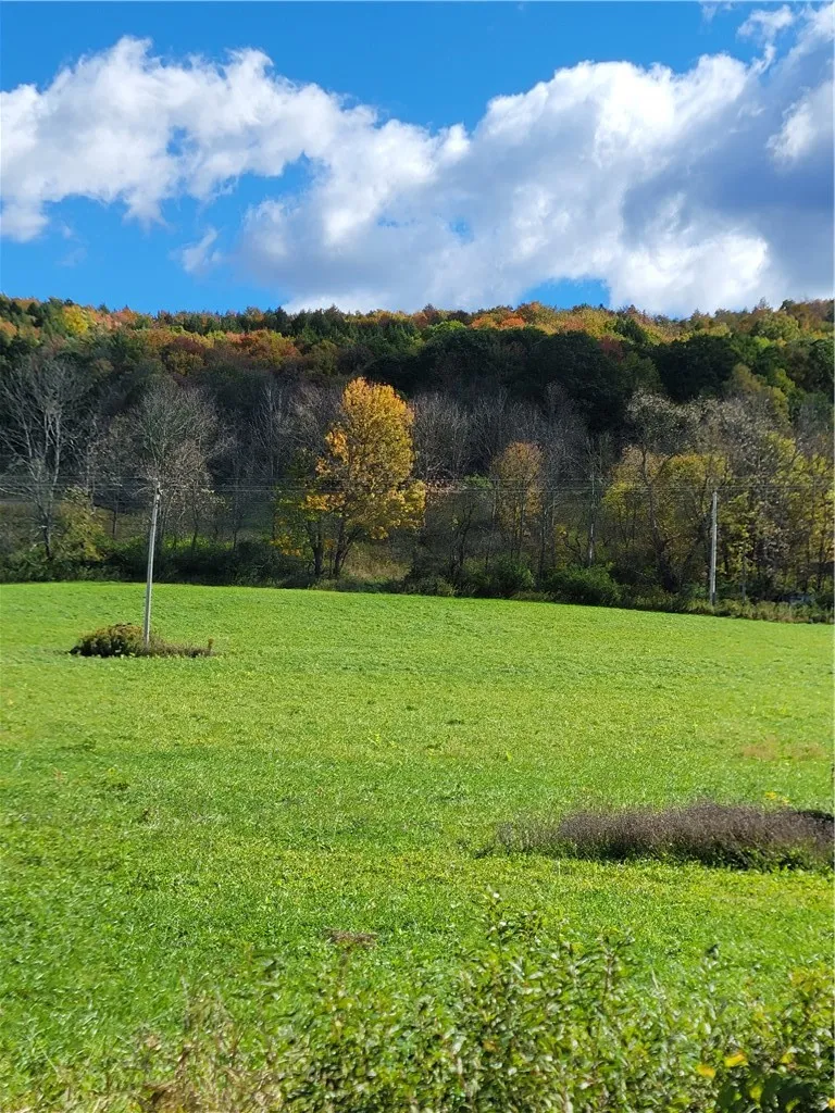 2628 County Hwy 18, Pittsfield, New York 13843, Pittsfield, New York 13843, ,Land,For Sale,2628 County Hwy 18, Pittsfield, New York 13843,0,R1720425