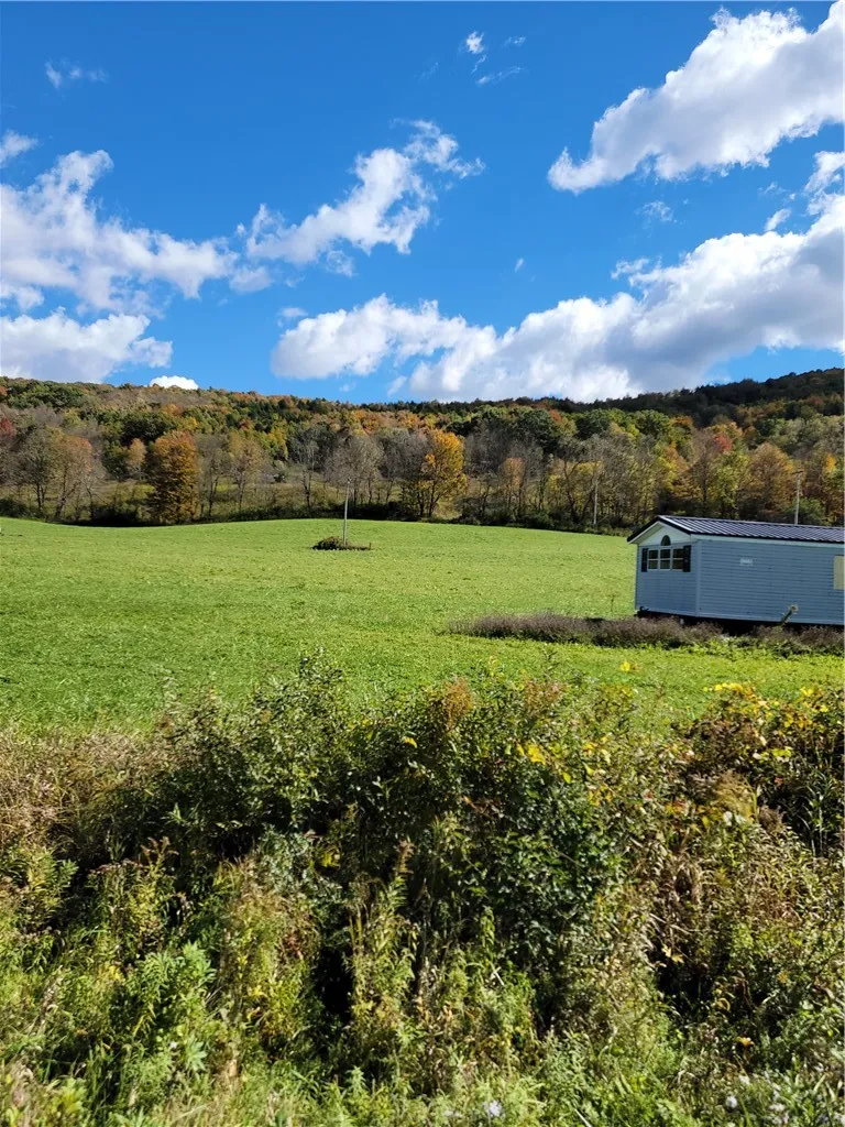 2628 County Hwy 18, Pittsfield, New York 13843, Pittsfield, New York 13843, ,Land,For Sale,2628 County Hwy 18, Pittsfield, New York 13843,0,R1720425