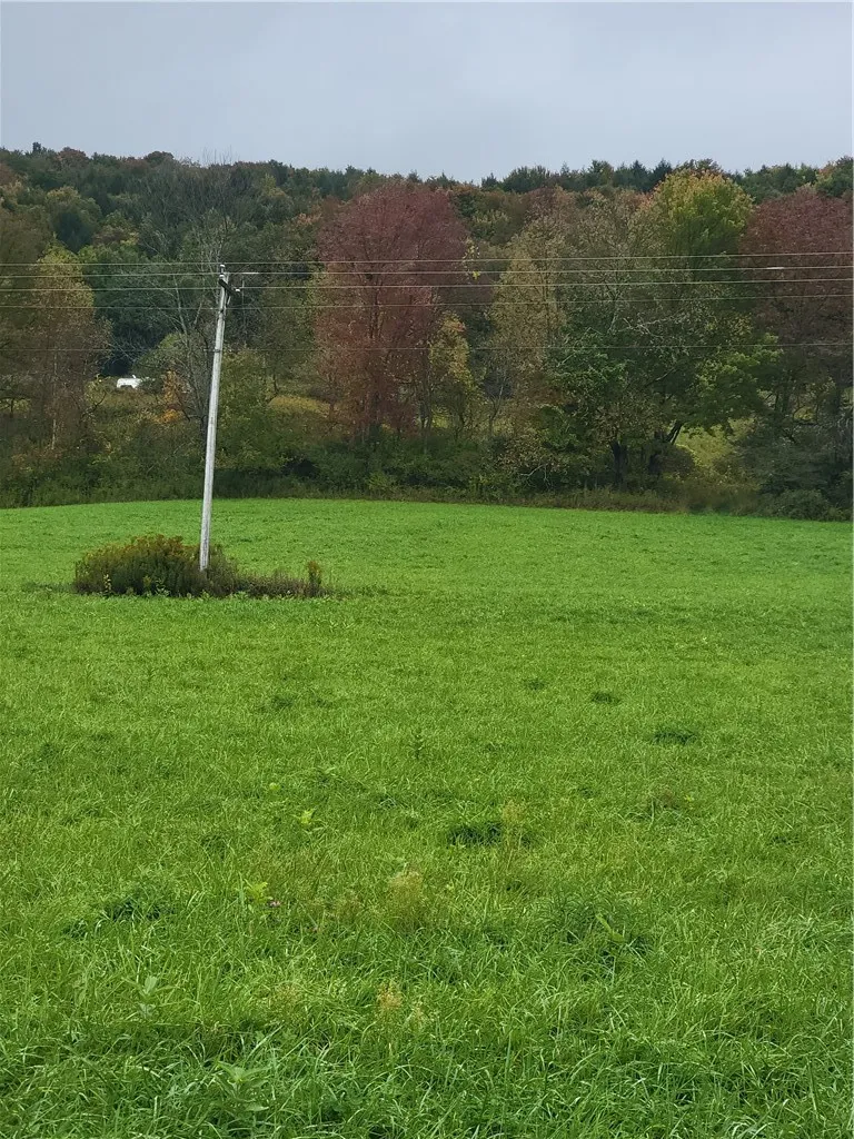 2628 County Hwy 18, Pittsfield, New York 13843, Pittsfield, New York 13843, ,Land,For Sale,2628 County Hwy 18, Pittsfield, New York 13843,0,R1720425