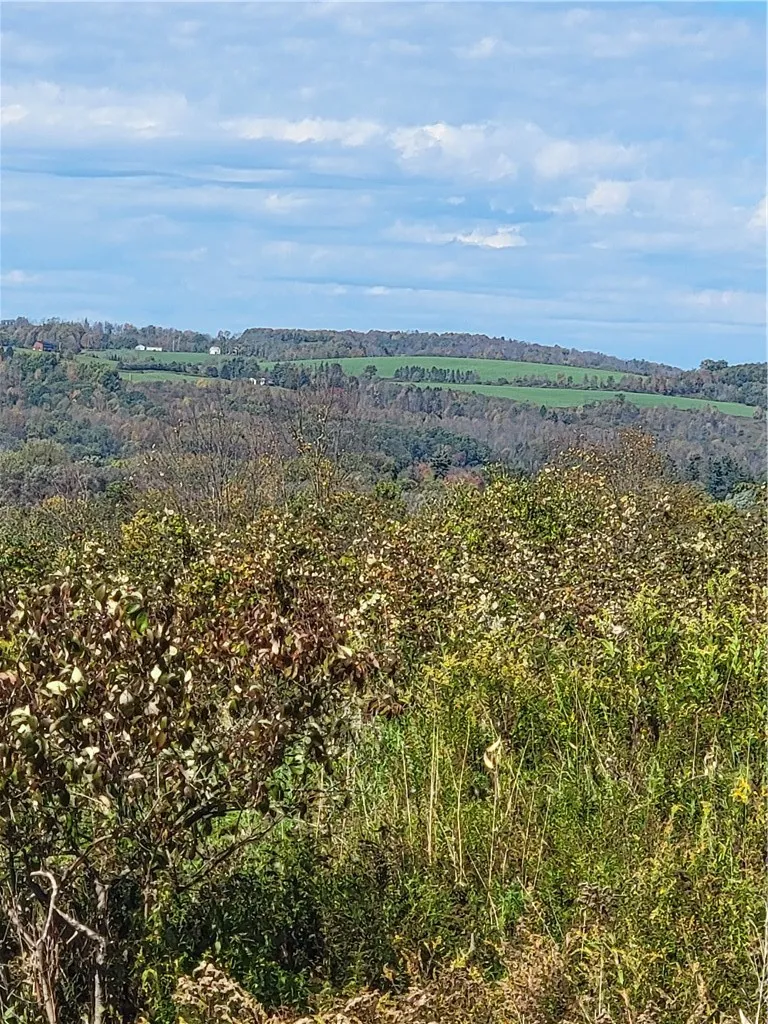 2628 County Hwy 18, Pittsfield, New York 13843, Pittsfield, New York 13843, ,Land,For Sale,2628 County Hwy 18, Pittsfield, New York 13843,0,R1720425