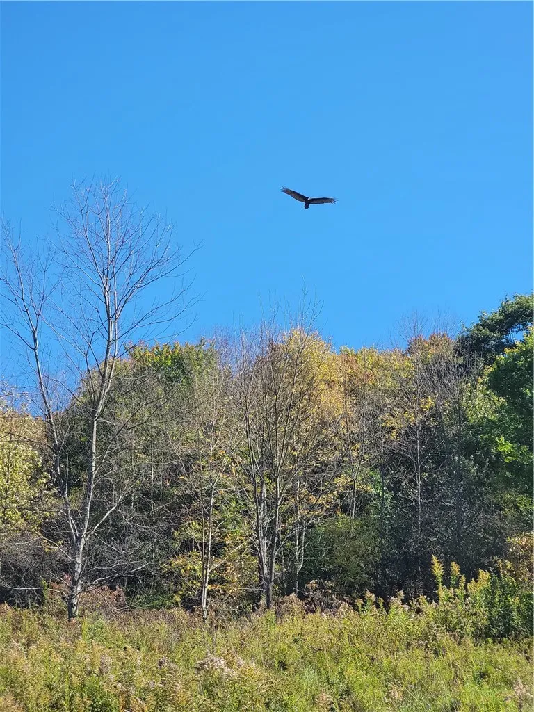 2628 County Hwy 18, Pittsfield, New York 13843, Pittsfield, New York 13843, ,Land,For Sale,2628 County Hwy 18, Pittsfield, New York 13843,0,R1720425