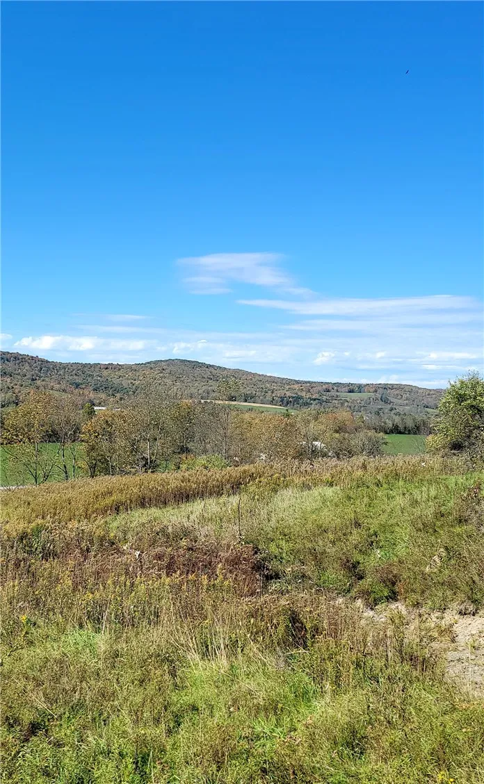 2628 County Hwy 18, Pittsfield, New York 13843, Pittsfield, New York 13843, ,Land,For Sale,2628 County Hwy 18, Pittsfield, New York 13843,0,R1720425