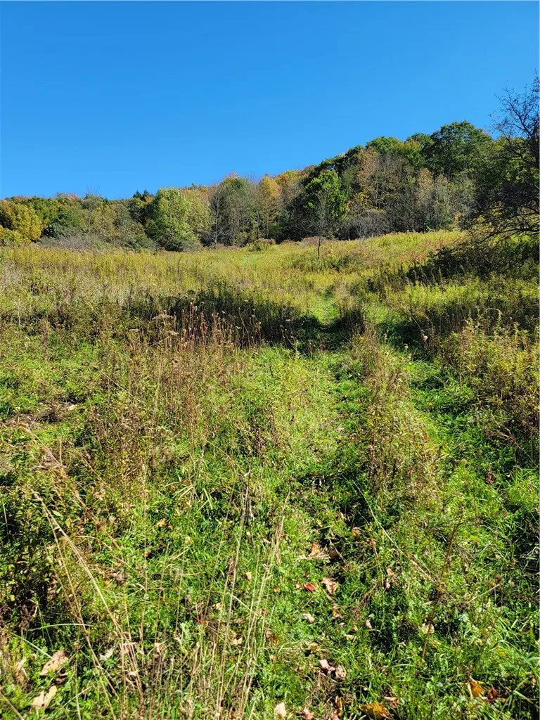 2628 County Hwy 18, Pittsfield, New York 13843, Pittsfield, New York 13843, ,Land,For Sale,2628 County Hwy 18, Pittsfield, New York 13843,0,R1720425