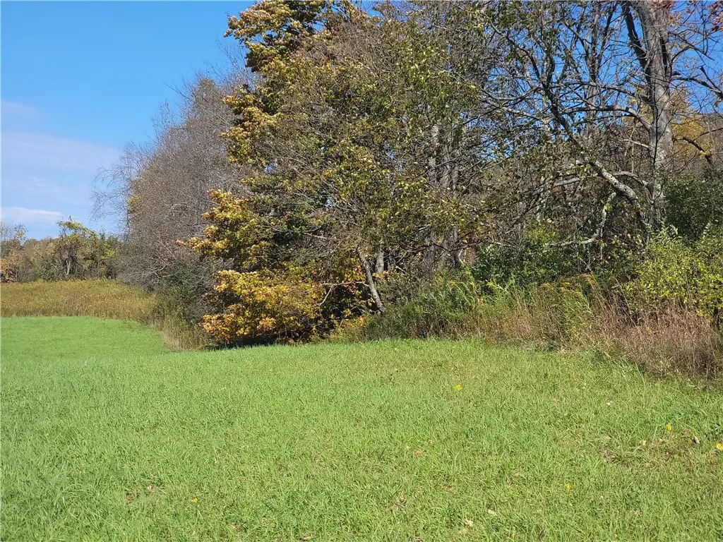 2628 County Hwy 18, Pittsfield, New York 13843, Pittsfield, New York 13843, ,Land,For Sale,2628 County Hwy 18, Pittsfield, New York 13843,0,R1720425