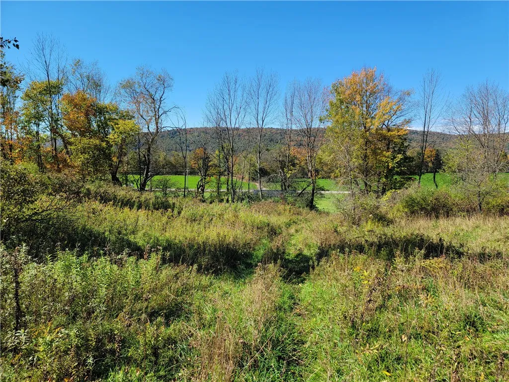 2628 County Hwy 18, Pittsfield, New York 13843, Pittsfield, New York 13843, ,Land,For Sale,2628 County Hwy 18, Pittsfield, New York 13843,0,R1720425