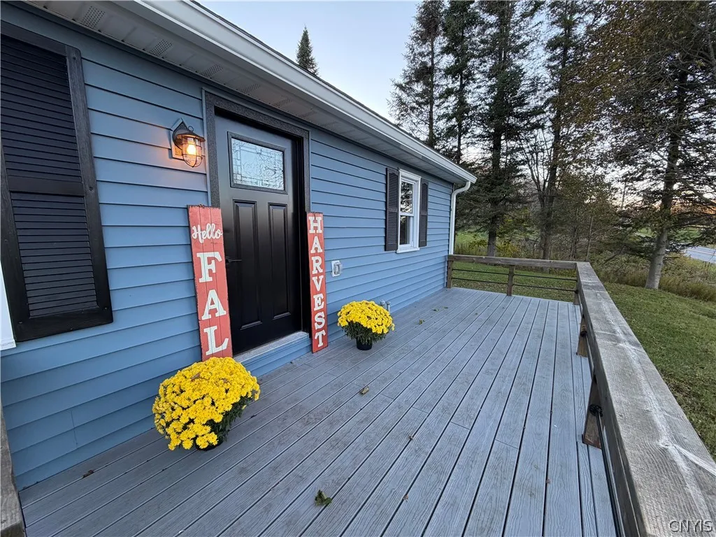 Trex decking