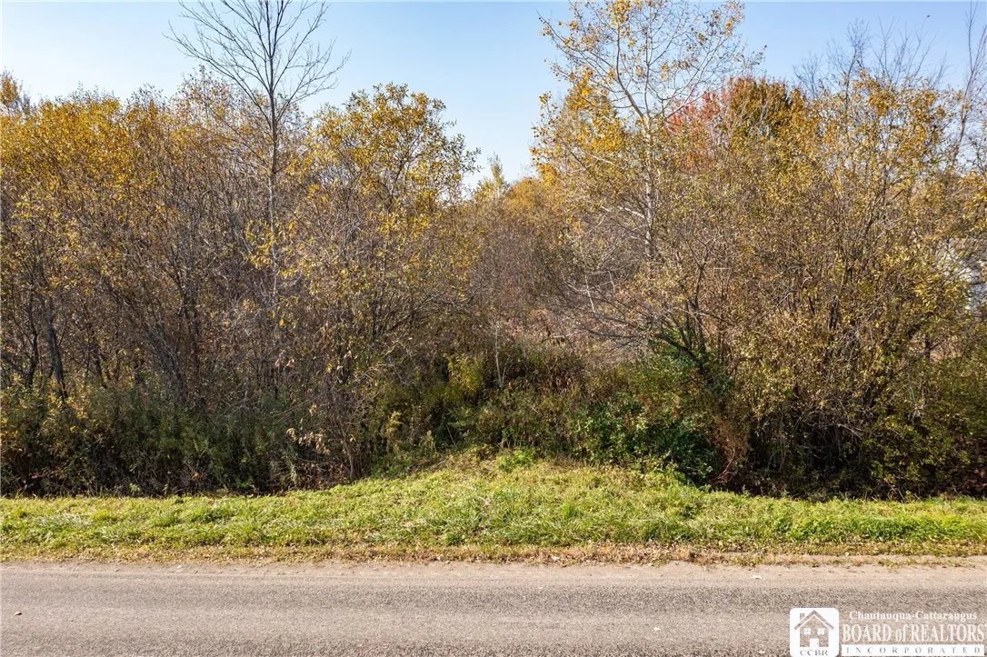 7965 Dredge Road, Leon, New York 14138, Leon, New York 14138, ,Land,For Sale,7965 Dredge Road, Leon, New York 14138,0,R1725487