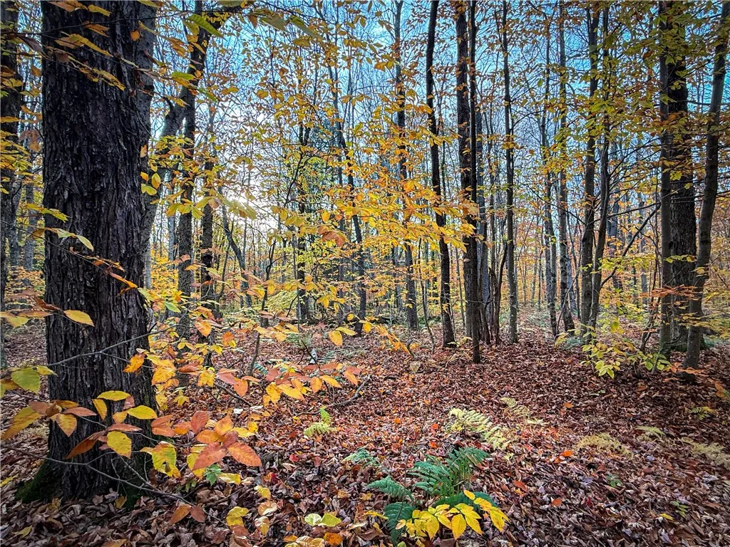 V/l Church Road, Boylston, New York 13083, Boylston, New York 13083, ,Land,For Sale,V/l Church Road, Boylston, New York 13083,0,R1725467