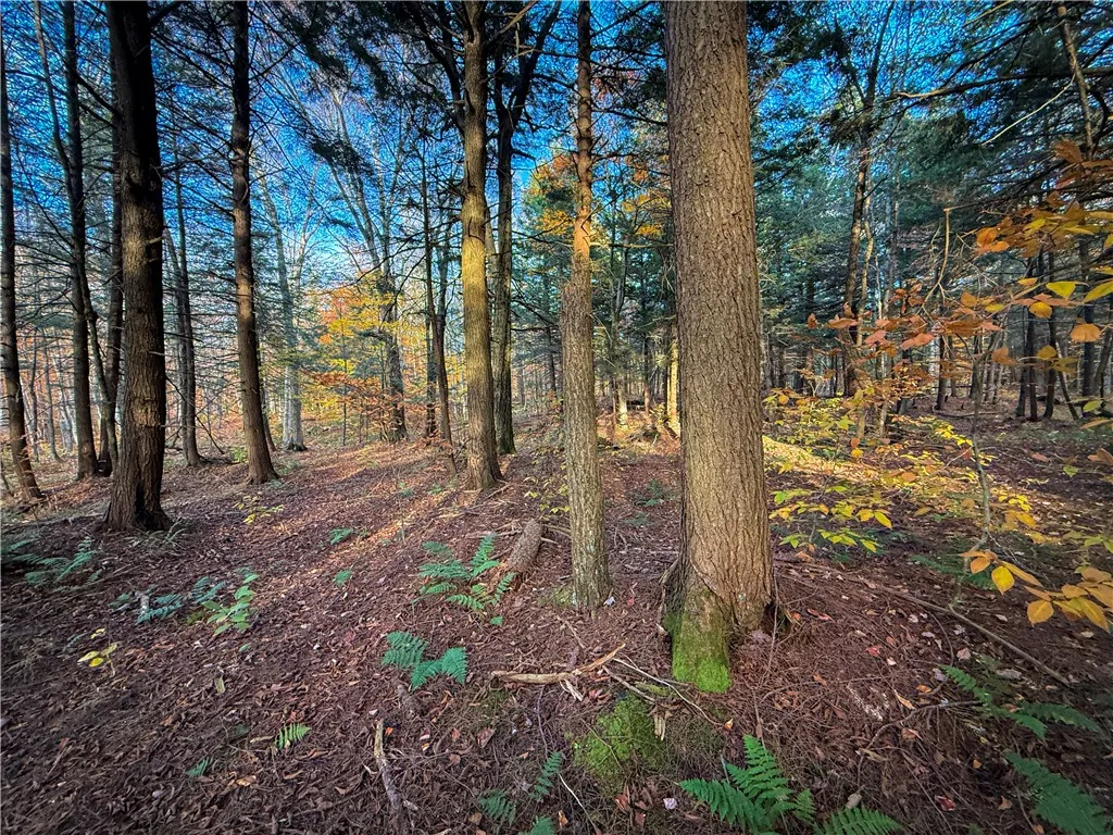 V/l Church Road, Boylston, New York 13083, Boylston, New York 13083, ,Land,For Sale,V/l Church Road, Boylston, New York 13083,0,R1725467