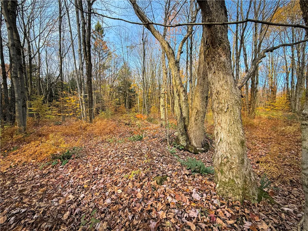 V/l Church Road, Boylston, New York 13083, Boylston, New York 13083, ,Land,For Sale,V/l Church Road, Boylston, New York 13083,0,R1725467