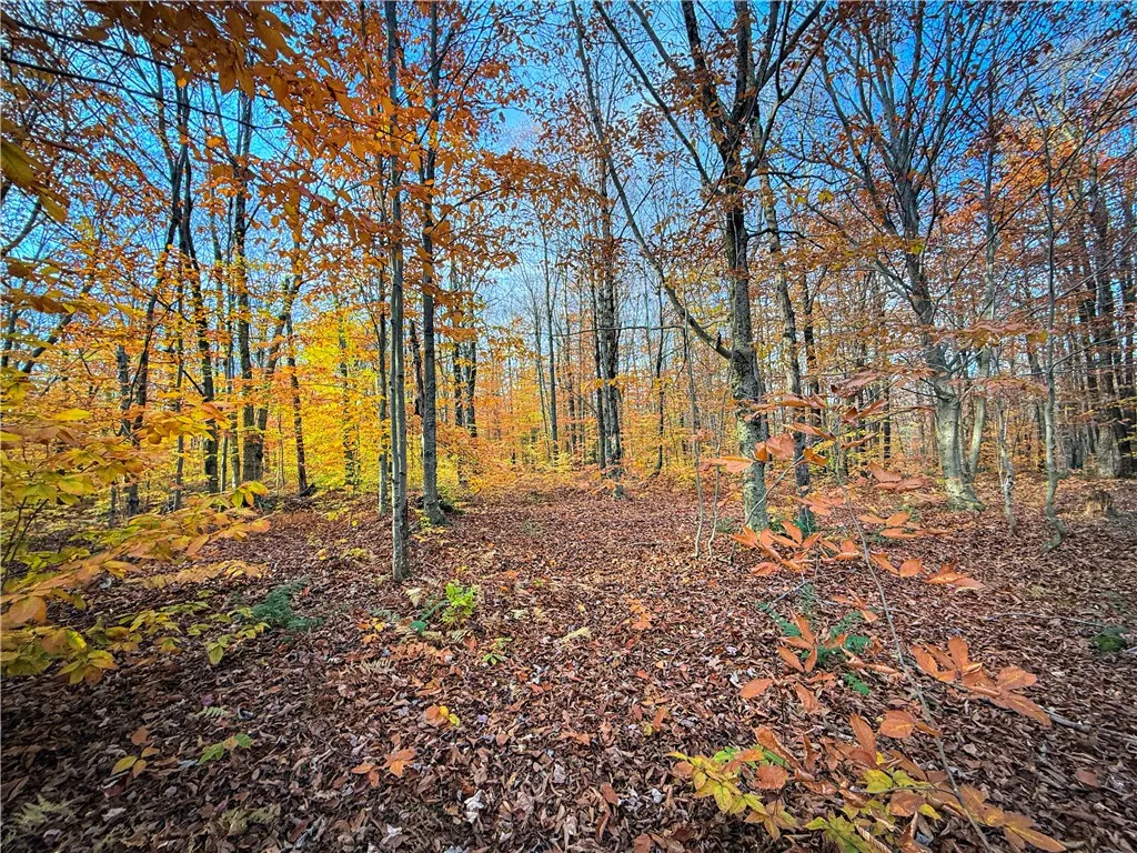 V/l Church Road, Boylston, New York 13083, Boylston, New York 13083, ,Land,For Sale,V/l Church Road, Boylston, New York 13083,0,R1725467