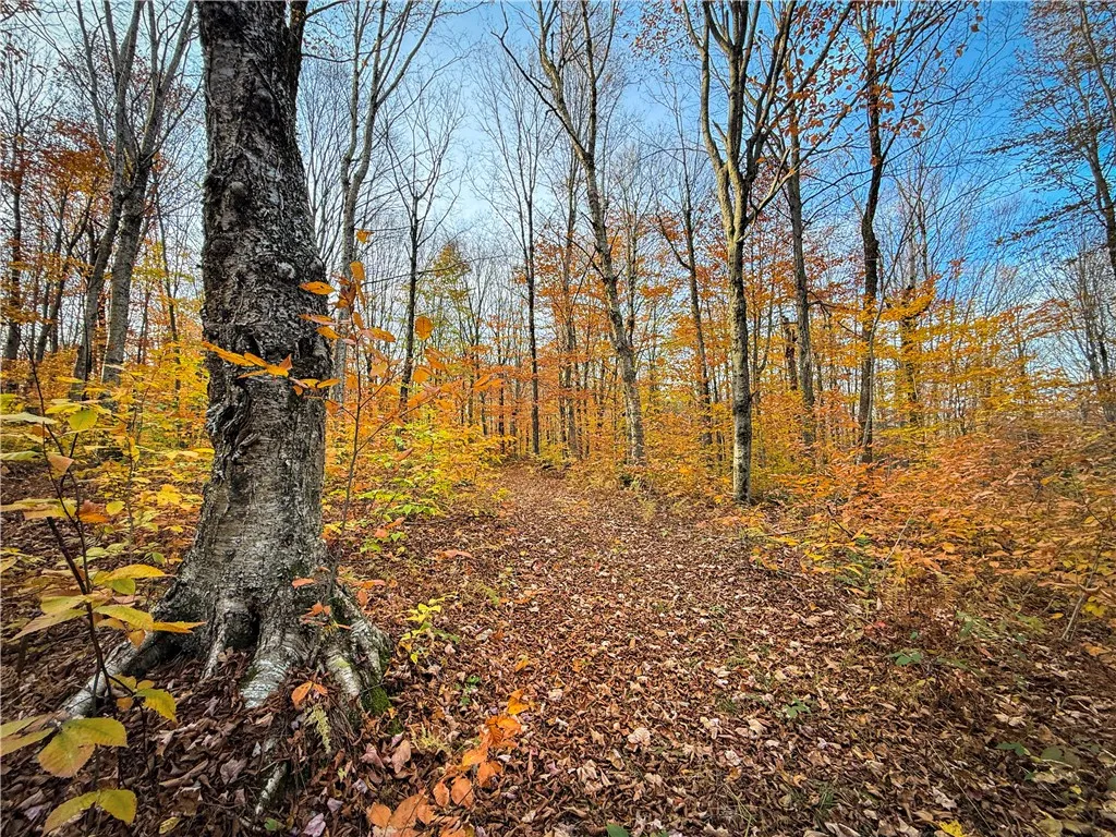 V/l Church Road, Boylston, New York 13083, Boylston, New York 13083, ,Land,For Sale,V/l Church Road, Boylston, New York 13083,0,R1725467