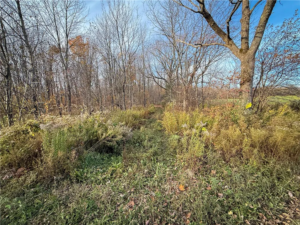V/l Church Road, Boylston, New York 13083, Boylston, New York 13083, ,Land,For Sale,V/l Church Road, Boylston, New York 13083,0,R1725467