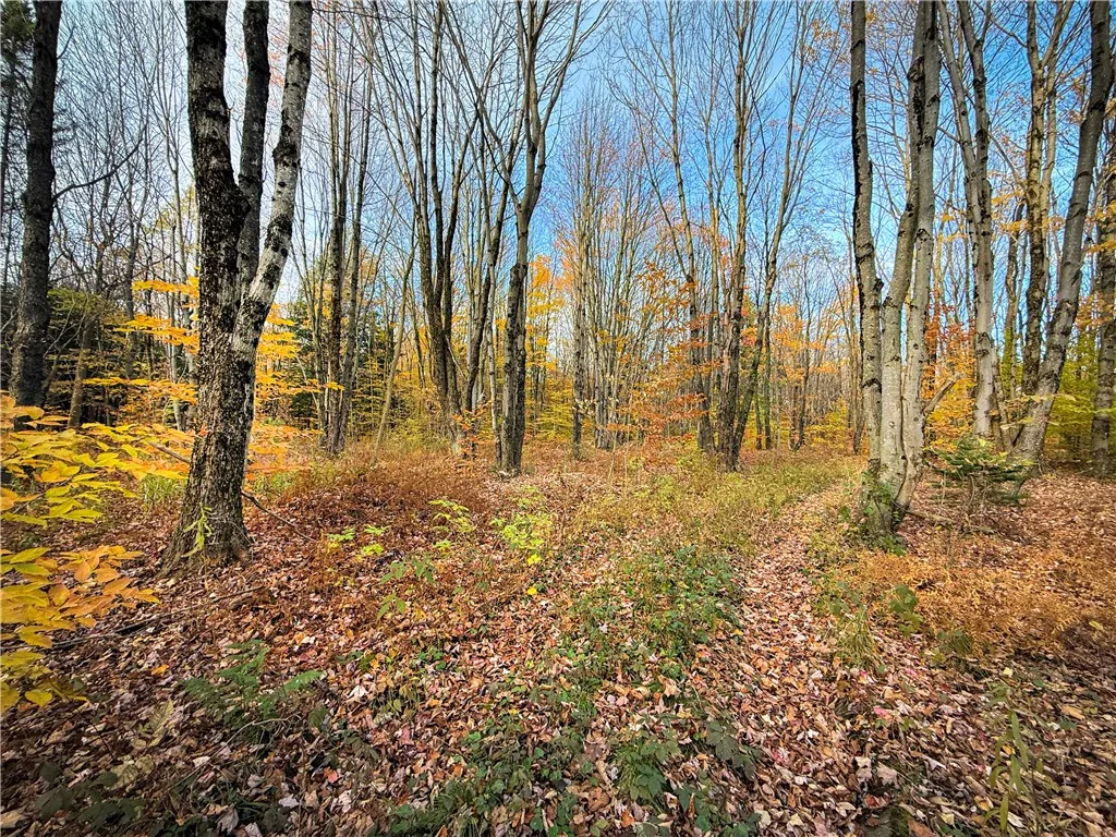 V/l Church Road, Boylston, New York 13083, Boylston, New York 13083, ,Land,For Sale,V/l Church Road, Boylston, New York 13083,0,R1725467