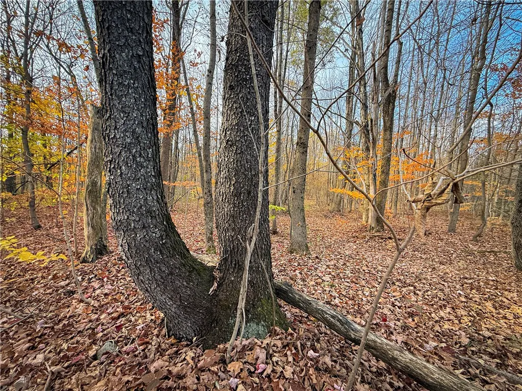 V/l Church Road, Boylston, New York 13083, Boylston, New York 13083, ,Land,For Sale,V/l Church Road, Boylston, New York 13083,0,R1725467