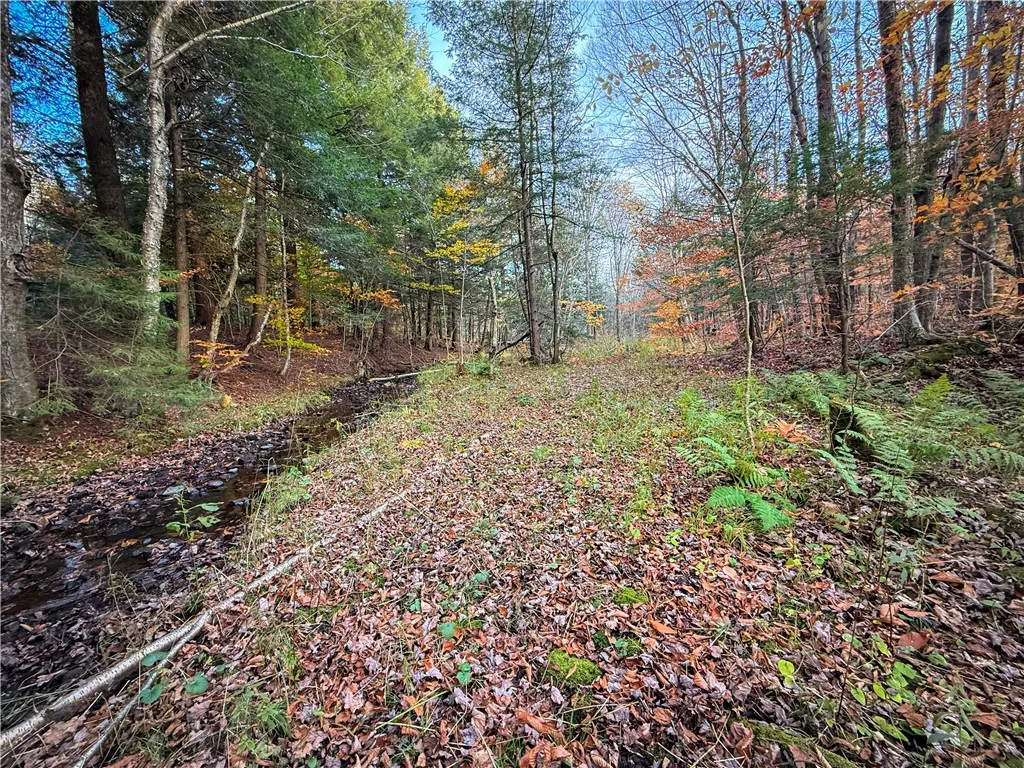 V/l Church Road, Boylston, New York 13083, Boylston, New York 13083, ,Land,For Sale,V/l Church Road, Boylston, New York 13083,0,R1725467