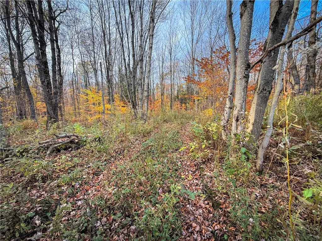 V/l Church Road, Boylston, New York 13083, Boylston, New York 13083, ,Land,For Sale,V/l Church Road, Boylston, New York 13083,0,R1725467