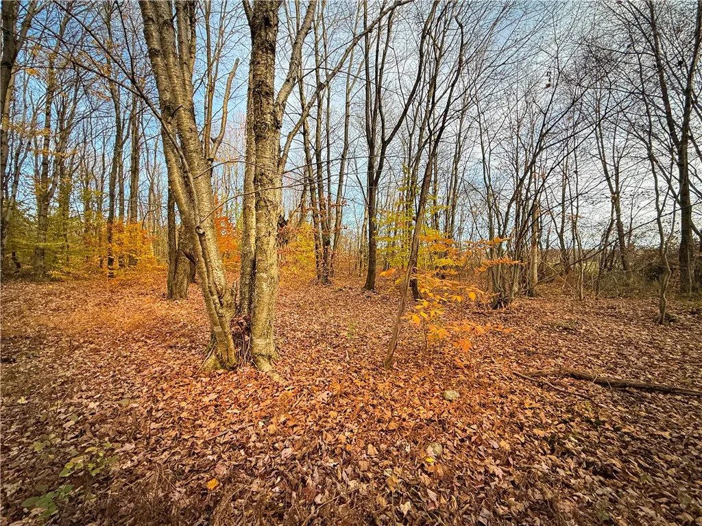 V/l Church Road, Boylston, New York 13083, Boylston, New York 13083, ,Land,For Sale,V/l Church Road, Boylston, New York 13083,0,R1725467