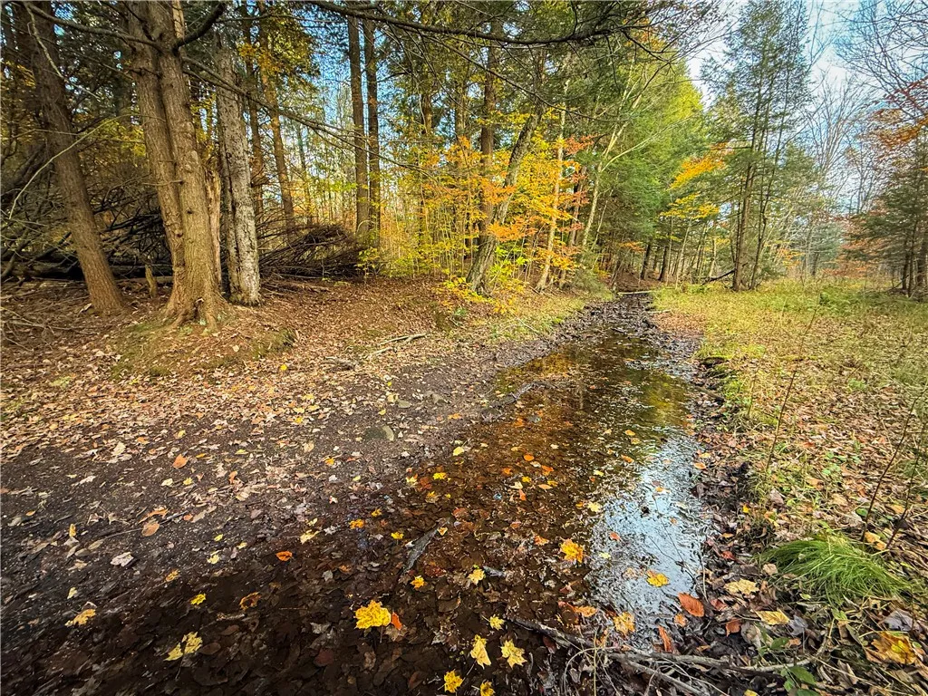 V/l Church Road, Boylston, New York 13083, Boylston, New York 13083, ,Land,For Sale,V/l Church Road, Boylston, New York 13083,0,R1725467
