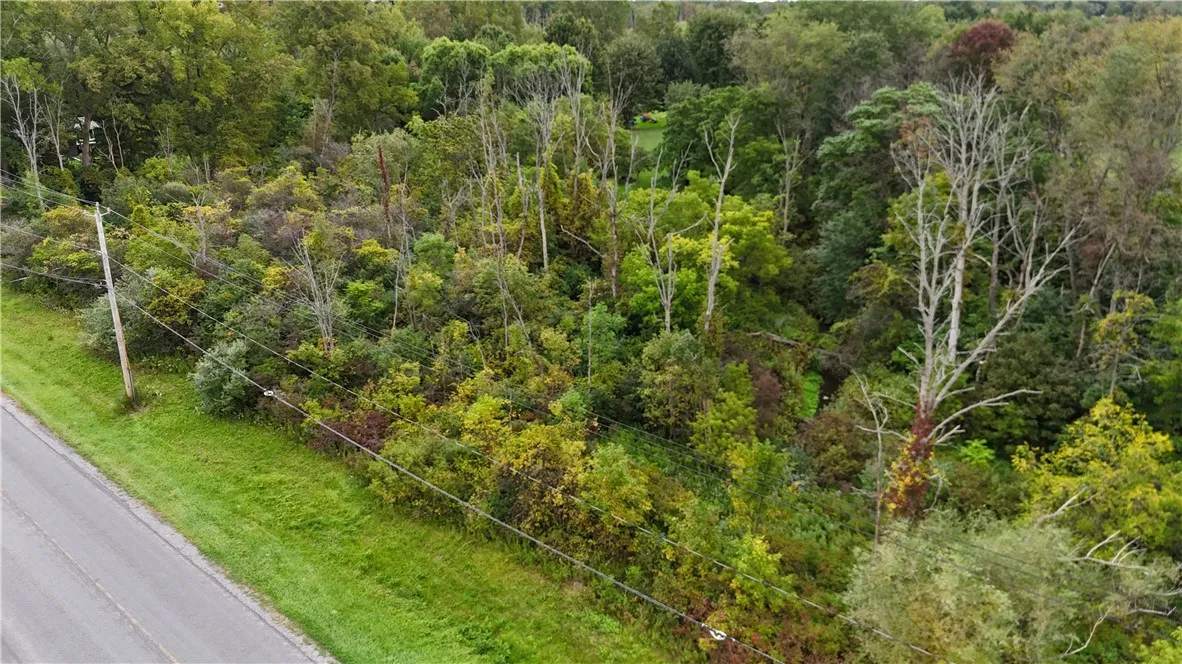 120 Percy Road, Riga, New York 14428, Riga, New York 14428, ,Land,For Sale,120 Percy Road, Riga, New York 14428,0,R1725534