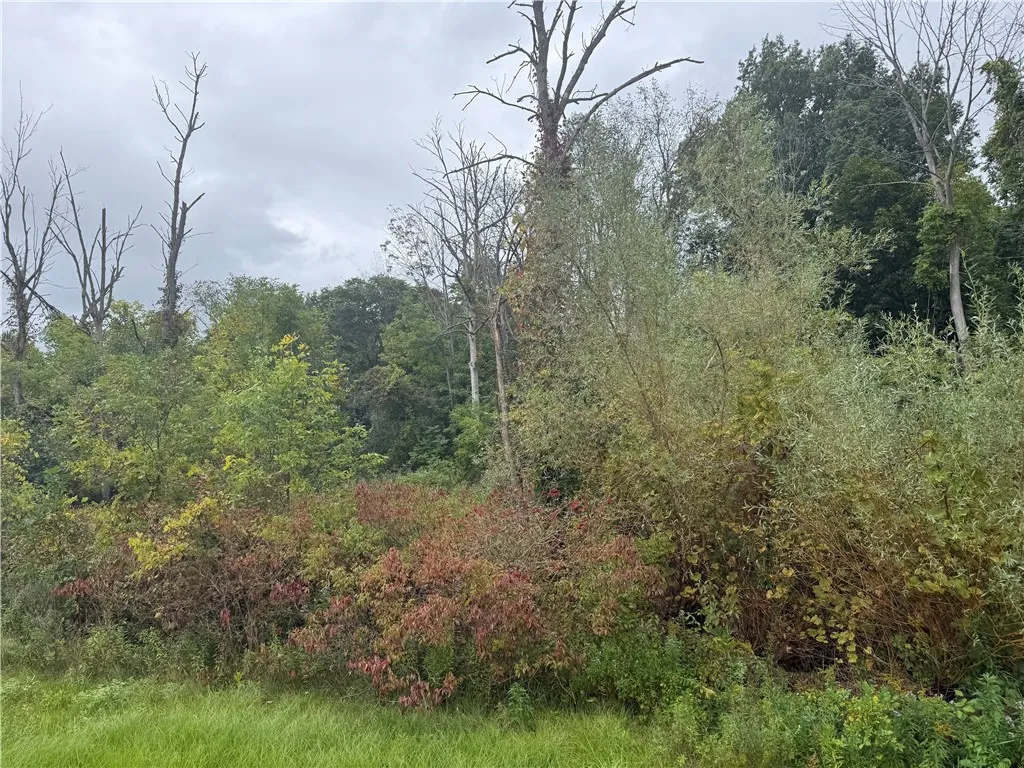 120 Percy Road, Riga, New York 14428, Riga, New York 14428, ,Land,For Sale,120 Percy Road, Riga, New York 14428,0,R1725534