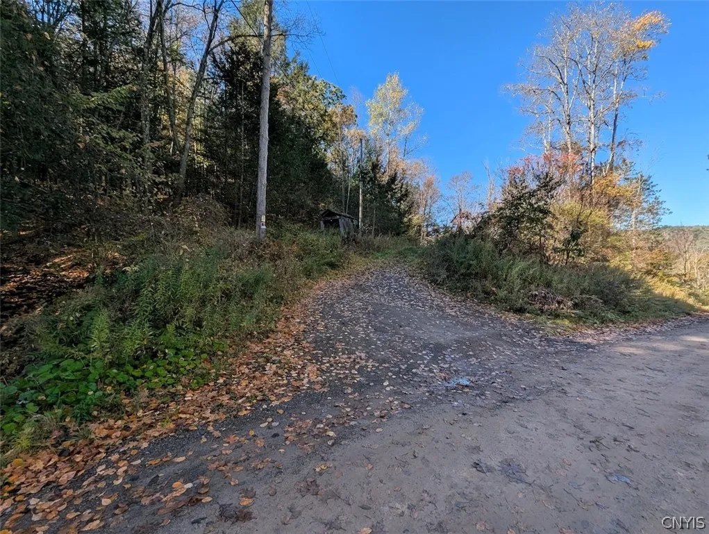 7620 Lodge Road, Addison, New York 14801, Addison, New York 14801, ,Land,For Sale,7620 Lodge Road, Addison, New York 14801,0,S1725625
