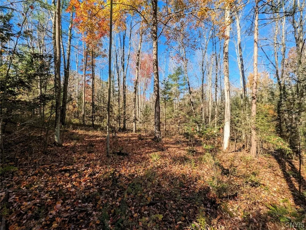 7620 Lodge Road, Addison, New York 14801, Addison, New York 14801, ,Land,For Sale,7620 Lodge Road, Addison, New York 14801,0,S1725625