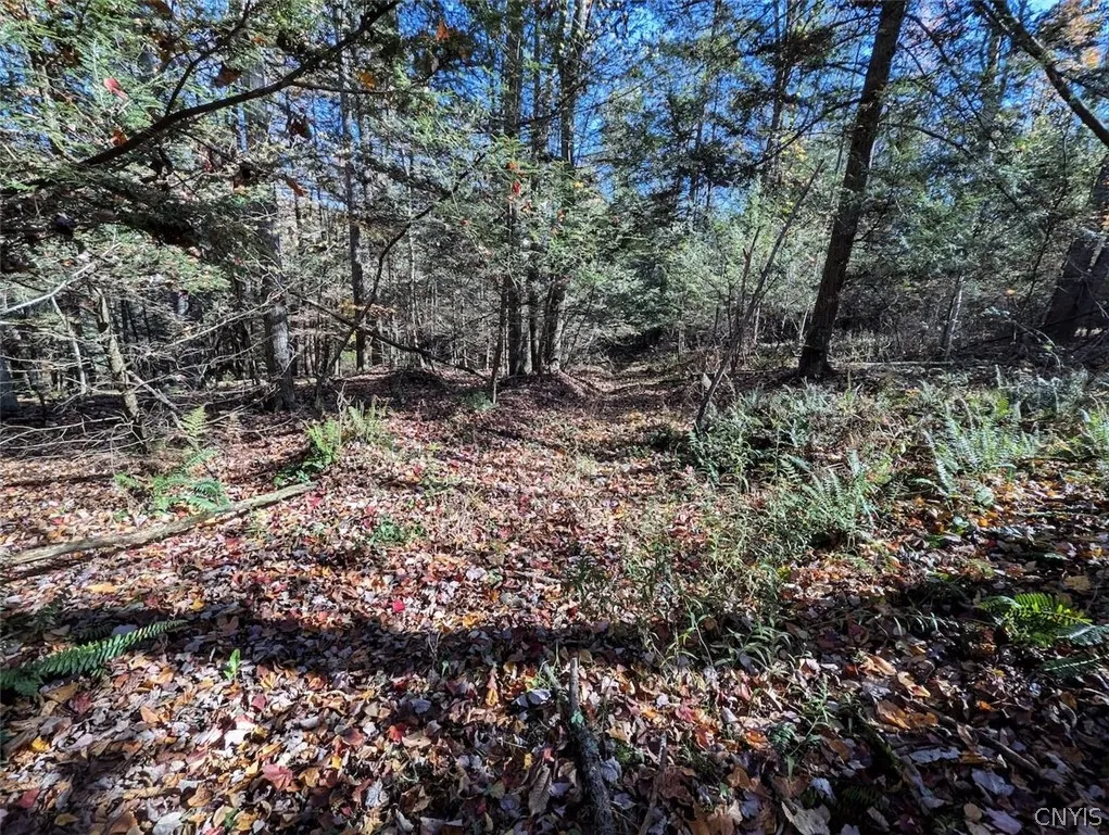 7620 Lodge Road, Addison, New York 14801, Addison, New York 14801, ,Land,For Sale,7620 Lodge Road, Addison, New York 14801,0,S1725625