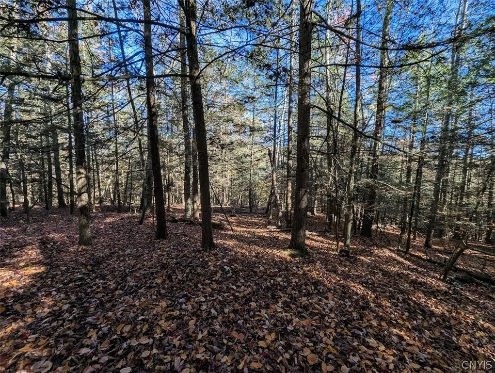 7620 Lodge Road, Addison, New York 14801, Addison, New York 14801, ,Land,For Sale,7620 Lodge Road, Addison, New York 14801,0,S1725625