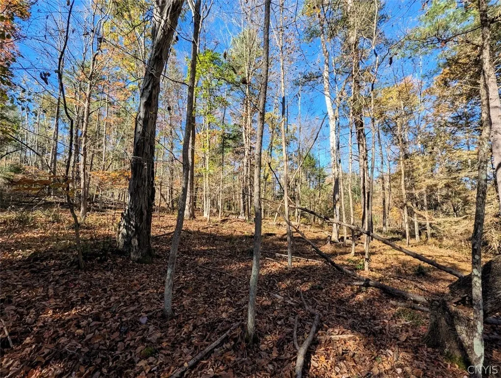 7620 Lodge Road, Addison, New York 14801, Addison, New York 14801, ,Land,For Sale,7620 Lodge Road, Addison, New York 14801,0,S1725625