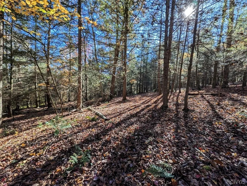 7620 Lodge Road, Addison, New York 14801, Addison, New York 14801, ,Land,For Sale,7620 Lodge Road, Addison, New York 14801,0,S1725625