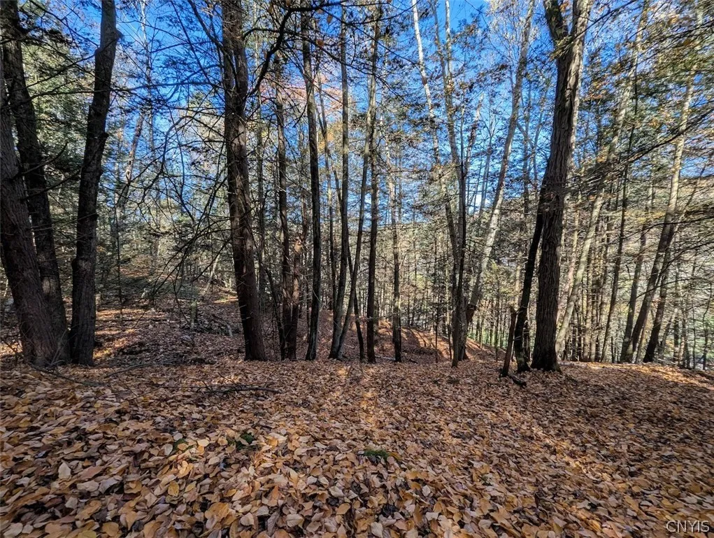 7620 Lodge Road, Addison, New York 14801, Addison, New York 14801, ,Land,For Sale,7620 Lodge Road, Addison, New York 14801,0,S1725625