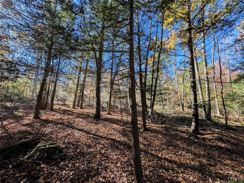 7620 Lodge Road, Addison, New York 14801, Addison, New York 14801, ,Land,For Sale,7620 Lodge Road, Addison, New York 14801,0,S1725625
